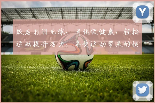 饭后打羽毛球，消化促健康，轻松运动提升活力，享受运动带来的快乐与健康