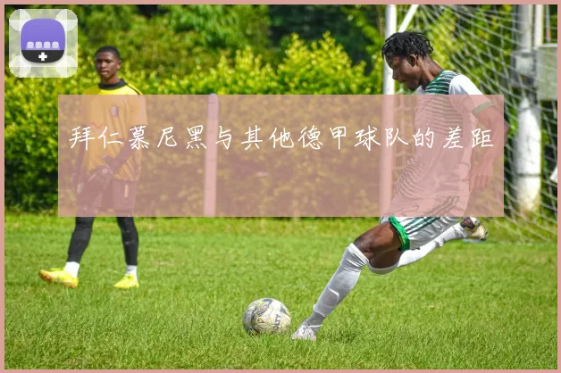 拜仁慕尼黑与其他德甲球队的差距