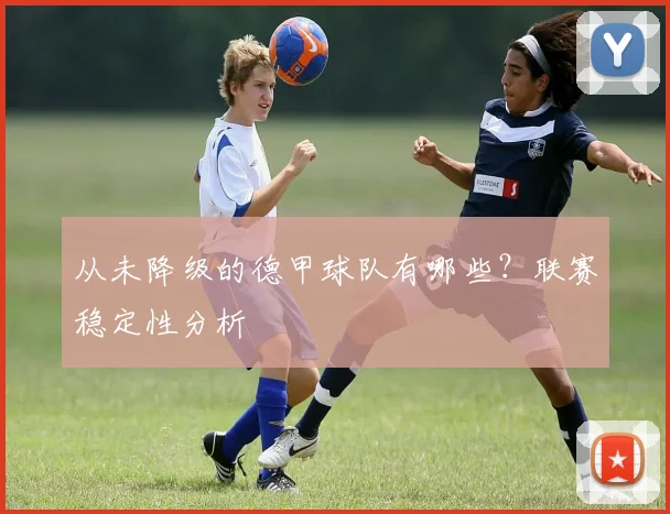 从未降级的德甲球队有哪些？联赛稳定性分析