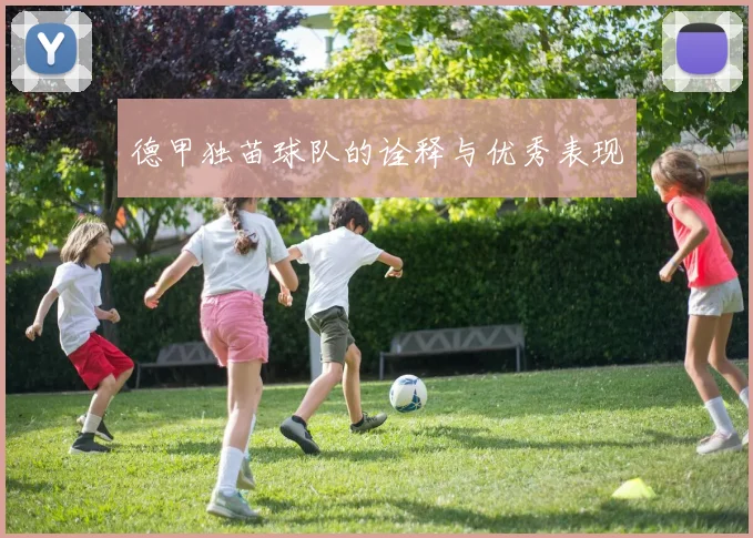 德甲独苗球队的诠释与优秀表现