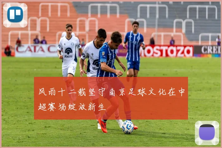 风雨十二载坚守南京足球文化在中超赛场绽放新生