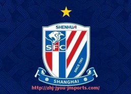 jiuyou九游娱乐-德甲足球最佳球队的选择标准与评选方式